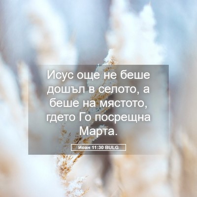 Picture 05 - Йоан 11:30 BULG - Исус още не беше дошъл в - Bible Verse Picture