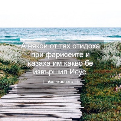 Picture 05 - Йоан 11:46 BULG - А някои от тях отидоха при - Bible Verse Picture