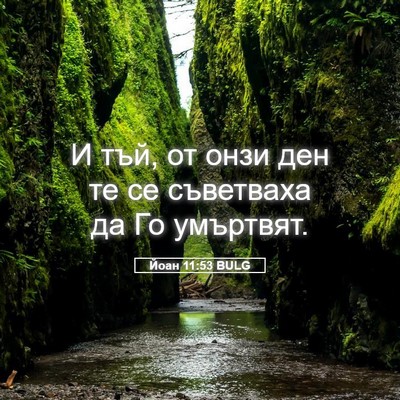 Picture 05 - Йоан 11:53 BULG - И тъй, от онзи ден те се - Bible Verse Picture