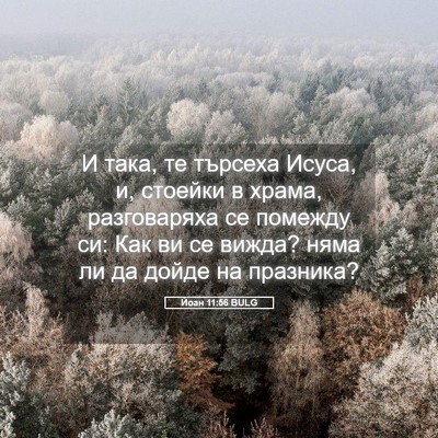 Picture 05 - Йоан 11:56 BULG - И така, те търсеха Исуса, и, - Bible Verse Picture