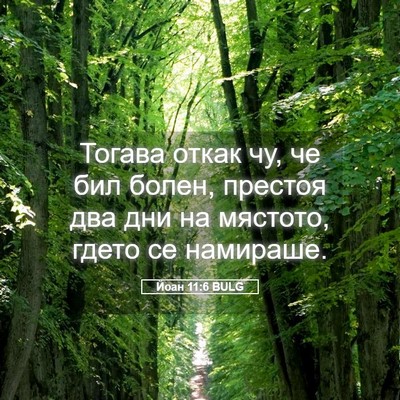 Picture 05 - Йоан 11:6 BULG - Тогава откак чу, че бил - Bible Verse Picture