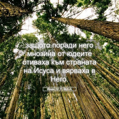 Picture 05 - Йоан 12:11 BULG - защото поради него мнозина - Bible Verse Picture