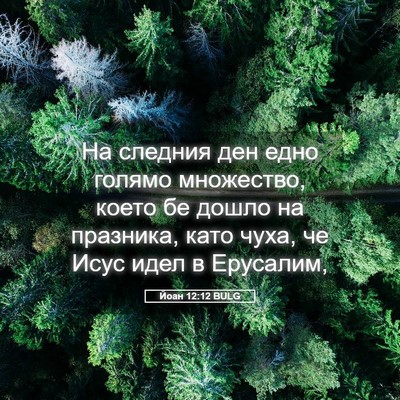 Picture 05 - Йоан 12:12 BULG - На следния ден едно голямо - Bible Verse Picture