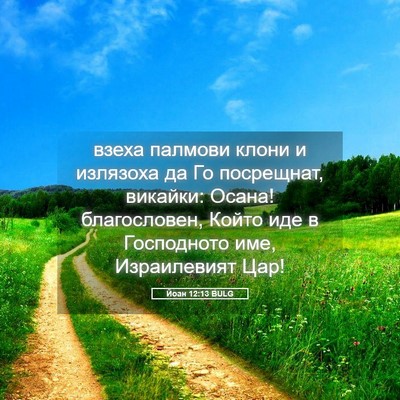 Picture 05 - Йоан 12:13 BULG - взеха палмови клони и - Bible Verse Picture