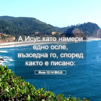 Picture 05 - Йоан 12:14 BULG - А Исус като намери едно - Bible Verse Picture