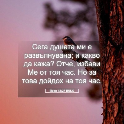 Picture 05 - Йоан 12:27 BULG - Сега душата ми е - Bible Verse Picture