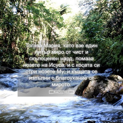 Picture 05 - Йоан 12:3 BULG - Тогава Мария, като взе един - Bible Verse Picture