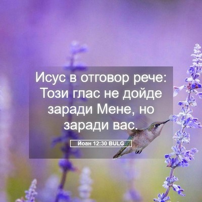 Picture 05 - Йоан 12:30 BULG - Исус в отговор рече: Този - Bible Verse Picture
