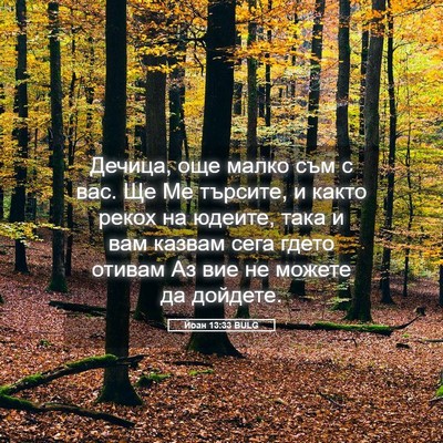 Picture 05 - Йоан 13:33 BULG - Дечица, още малко съм с вас. - Bible Verse Picture