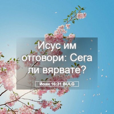 Picture 05 - Йоан 16:31 BULG - Исус им отговори: Сега ли - Bible Verse Picture