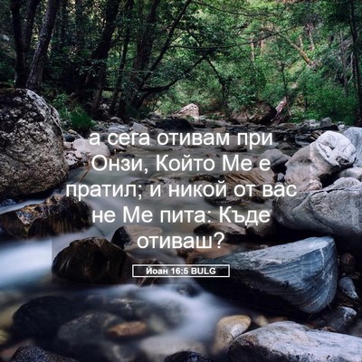 Picture 05 - Йоан 16:5 BULG - а сега отивам при Онзи, - Bible Verse Picture