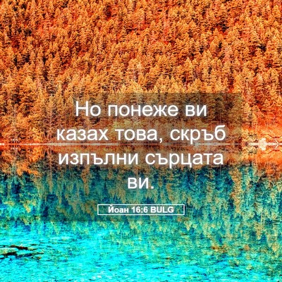 Picture 05 - Йоан 16:6 BULG - Но понеже ви казах това, - Bible Verse Picture