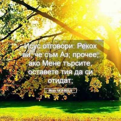 Picture 05 - Йоан 18:8 BULG - Исус отговори: Рекох ви, че - Bible Verse Picture