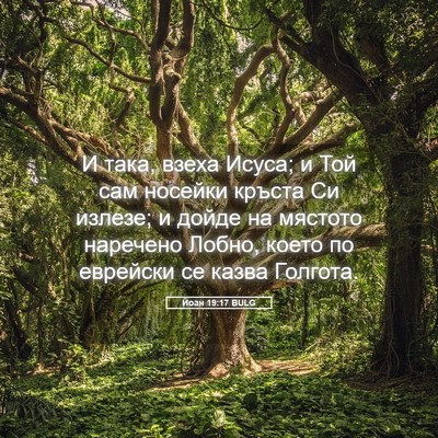 Picture 05 - Йоан 19:17 BULG - И така, взеха Исуса; и Той - Bible Verse Picture