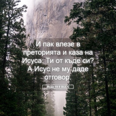 Picture 05 - Йоан 19:9 BULG - И пак влезе в преторията и - Bible Verse Picture