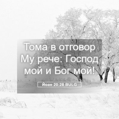 Picture 05 - Йоан 20:28 BULG - Тома в отговор Му рече: - Bible Verse Picture
