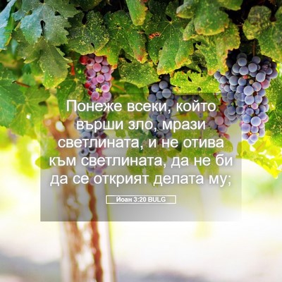 Picture 05 - Йоан 3:20 BULG - Понеже всеки, който върши - Bible Verse Picture