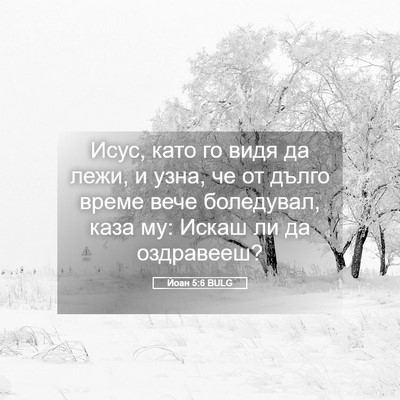 Picture 05 - Йоан 5:6 BULG - Исус, като го видя да лежи, - Bible Verse Picture