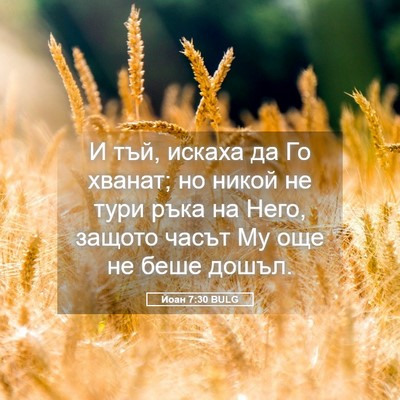 Picture 05 - Йоан 7:30 BULG - И тъй, искаха да Го хванат; - Bible Verse Picture