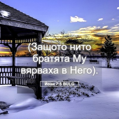 Picture 05 - Йоан 7:5 BULG - (Защото нито братята Му - Bible Verse Picture
