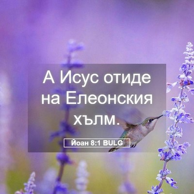 Picture 05 - Йоан 8:1 BULG - А Исус отиде на Елеонския - Bible Verse Picture