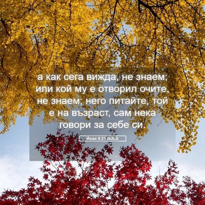 Picture 05 - Йоан 9:21 BULG - а как сега вижда, не знаем; - Bible Verse Picture