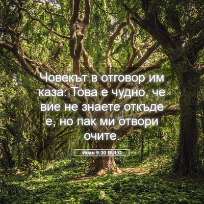 Picture 05 - Йоан 9:30 BULG - Човекът в отговор им каза: - Bible Verse Picture