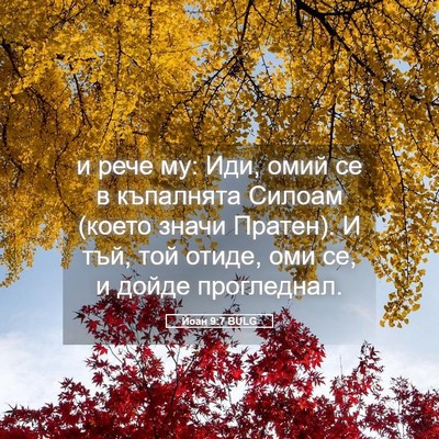 Picture 05 - Йоан 9:7 BULG - и рече му: Иди, омий се в - Bible Verse Picture