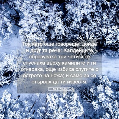 Picture 05 - Йов 1:17 BULG - Тоя като още говореше, - Bible Verse Picture