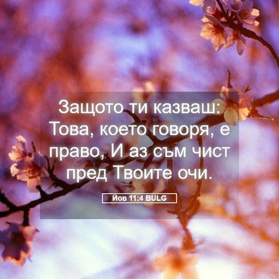 Picture 05 - Йов 11:4 BULG - Защото ти казваш: Това, - Bible Verse Picture