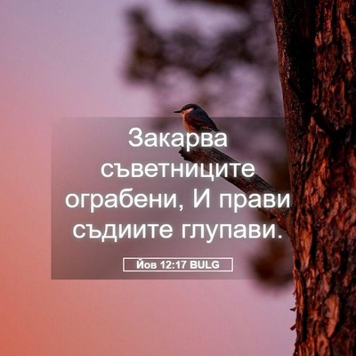 Picture 05 - Йов 12:17 BULG - Закарва съветниците - Bible Verse Picture