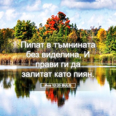 Picture 05 - Йов 12:25 BULG - Пипат в тъмнината без - Bible Verse Picture