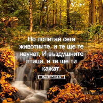 Picture 05 - Йов 12:7 BULG - Но попитай сега животните, - Bible Verse Picture