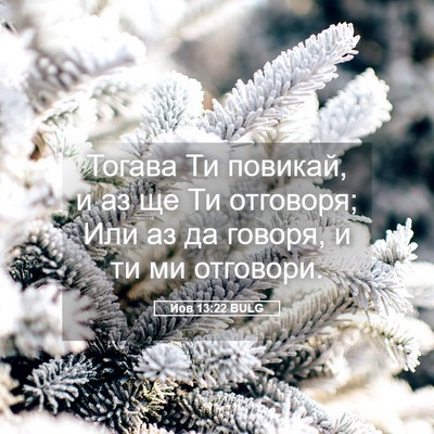 Picture 05 - Йов 13:22 BULG - Тогава Ти повикай, и аз ще - Bible Verse Picture