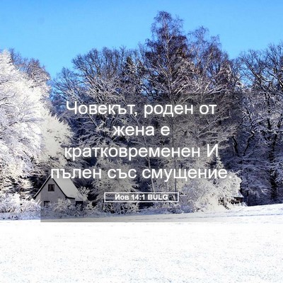 Picture 05 - Йов 14:1 BULG - Човекът, роден от жена е - Bible Verse Picture
