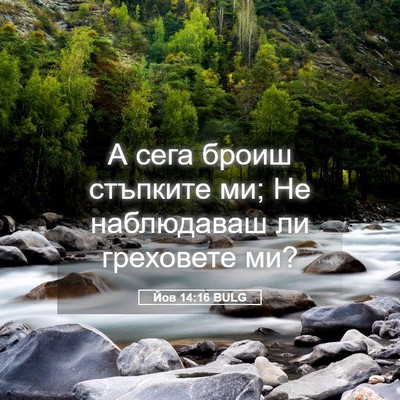 Picture 05 - Йов 14:16 BULG - А сега броиш стъпките ми; - Bible Verse Picture