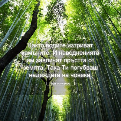 Picture 05 - Йов 14:19 BULG - Както водите изтриват - Bible Verse Picture
