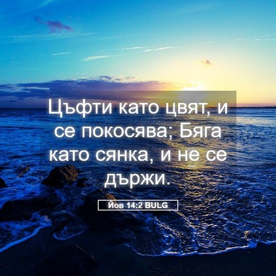 Picture 05 - Йов 14:2 BULG - Цъфти като цвят, и се - Bible Verse Picture
