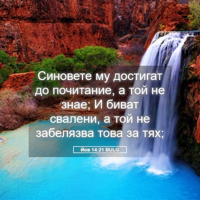 Picture 05 - Йов 14:21 BULG - Синовете му достигат до - Bible Verse Picture