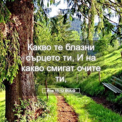 Picture 05 - Йов 15:12 BULG - Какво те блазни сърцето ти, - Bible Verse Picture