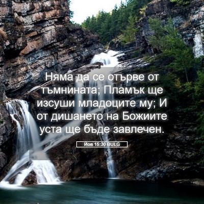 Picture 05 - Йов 15:30 BULG - Няма да се отърве от - Bible Verse Picture
