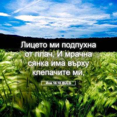 Picture 05 - Йов 16:16 BULG - Лицето ми подпухна от плач, - Bible Verse Picture