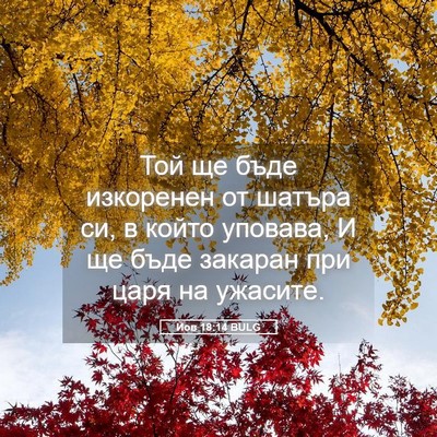 Picture 05 - Йов 18:14 BULG - Той ще бъде изкоренен от - Bible Verse Picture