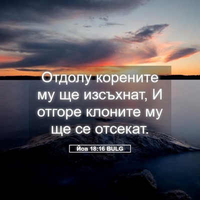 Picture 05 - Йов 18:16 BULG - Отдолу корените му ще - Bible Verse Picture