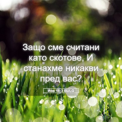 Picture 05 - Йов 18:3 BULG - Защо сме считани като - Bible Verse Picture