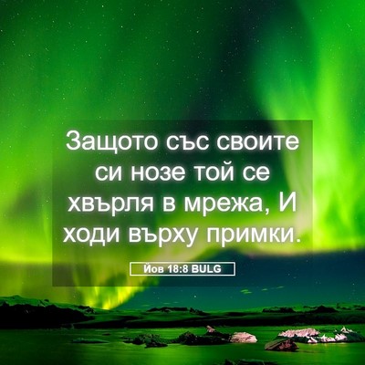 Picture 05 - Йов 18:8 BULG - Защото със своите си нозе - Bible Verse Picture