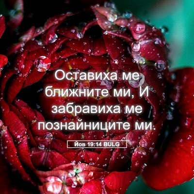 Picture 05 - Йов 19:14 BULG - Оставиха ме ближните ми, И - Bible Verse Picture