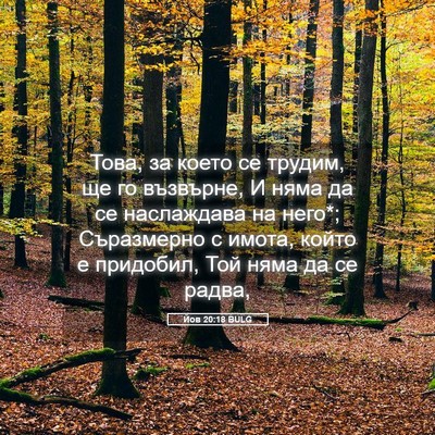 Picture 05 - Йов 20:18 BULG - Това, за което се трудим, ще - Bible Verse Picture