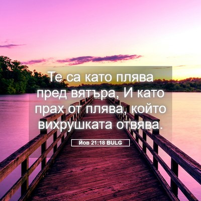 Picture 05 - Йов 21:18 BULG - Те са като плява пред - Bible Verse Picture