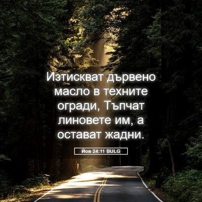 Picture 05 - Йов 24:11 BULG - Изтискват дървено масло в - Bible Verse Picture